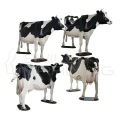 Holstein Model  Dystocia Simulator