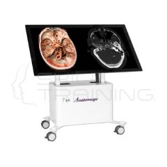 Anatomage Table Clinical