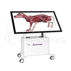 Mesa Anatómica Anatomage Veterinario