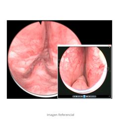 VirtaMed UroS™ Urology Platform Extension