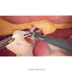 VirtaMed LaparoS™ Laparoscopy Platform Extension