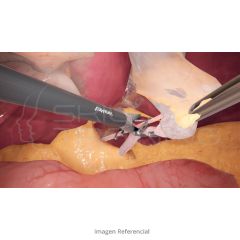 VirtaMed LaparoS™ General Surgery Module
