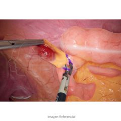 VirtaMed LaparoS™ Upper GI Surgery Module