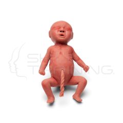 Premature (Preterm) Newborn