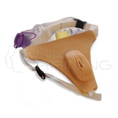 Genital Urinary Feminine Organ