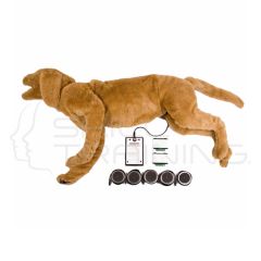 Goldie K9 Breath/Heart Sound Simulator