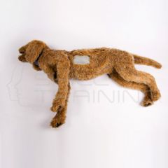 Toracocentesis Canino K9
