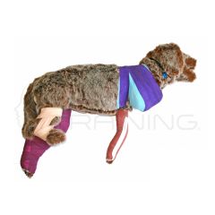 Simulador de Vendaje Canino RUFUS