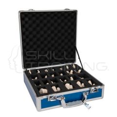 Juego de 24 vértebras BONElike