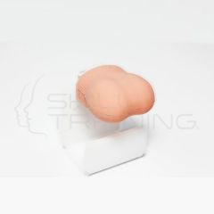 Modelo de Escroto para Examen Fisico