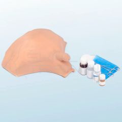 Chaleco Cistocentesis Descompresiva / Entrenamiento de punción vesical