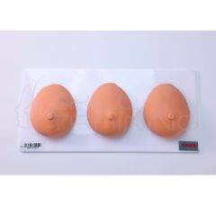 Modelo de Ensenanza de Exploracion y Masaje Mamario