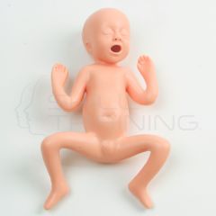 Modelo de Bebe Prematuro de 30 semanas