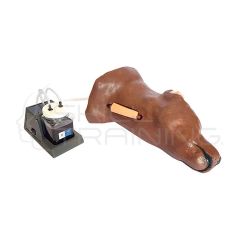 Kit de Extracción de Sangre Yugular - Canino