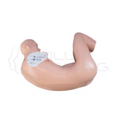 Simulador de Punción Lumbar Adulto