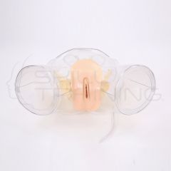 Modelo de Cateterismo Femenino Transparente