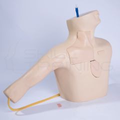 Simulador de Canulación Venosa Central
