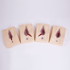 Entrenador de Incision de Episiotomia y Practica de Sutura