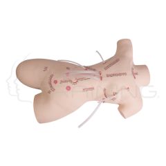 Modelo de Entrenamiento Preoperatorio Aséptico