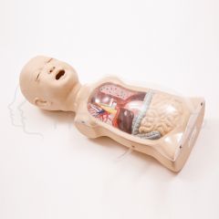 Modelo Infantil de Lavado Gastrico
