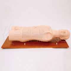 Torso para Entrenamiento de Punciones - Diagnóstico y Tratamientos Clínicos