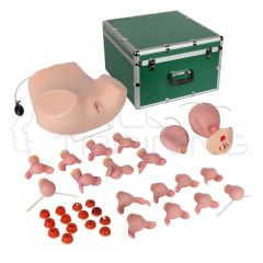 Simulador de Entrenamiento Ginecológico Avanzado