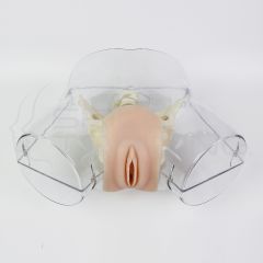 Simulador Transparente de Dilatación y Legrado (Retroversión)