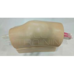 Modelo de Entrenamiento para Artrocentesis de Rodilla bajo Ultrasonido