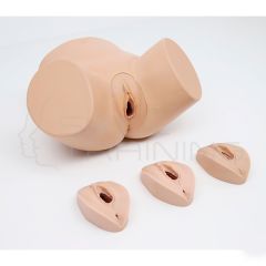 Modelo de Entrenamiento de Episiotomía y Sutura