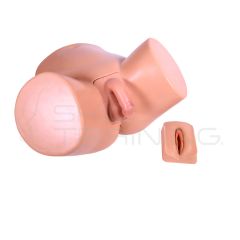 Modelo de Cateterismo Dual Masculino - Femenino